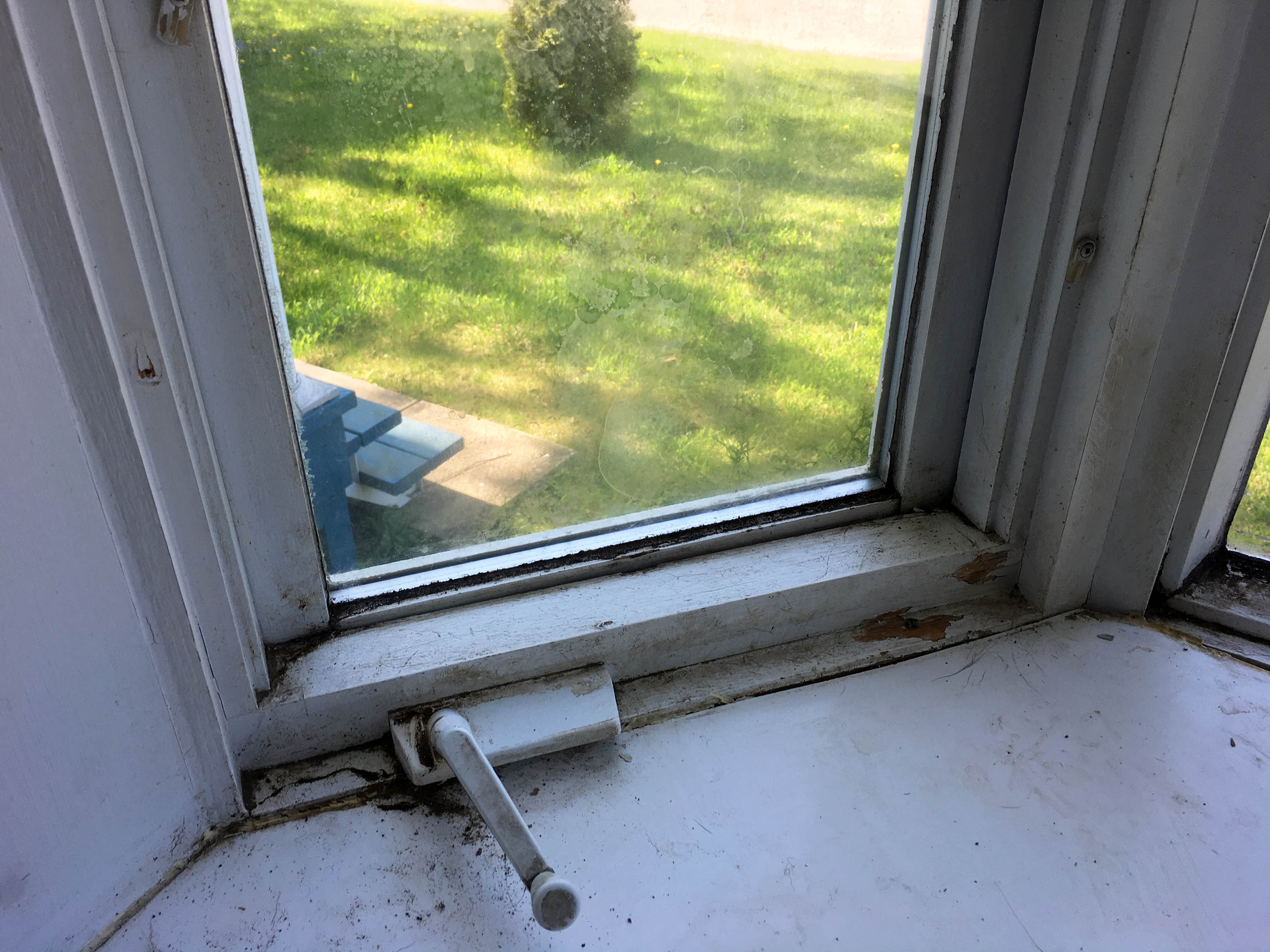 bay-window (4)
